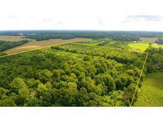 TRACT 46 - ILLINOIS LAND AUCTION - 4,810+/- ACRES OFFERED IN 85 TRACTS IN FRANKLIN, WILLIAMSON, HAMILTON & SALINE COUNTIES, ILLINOIS